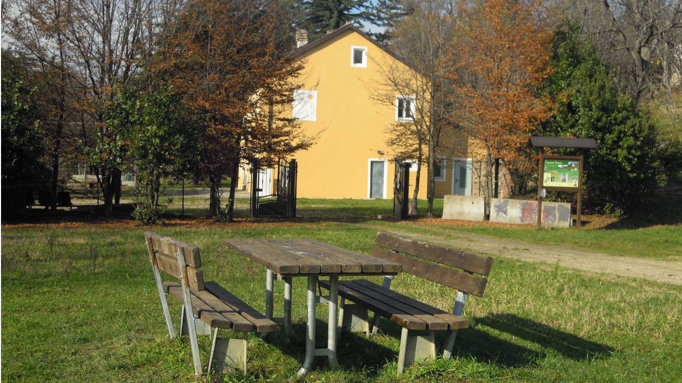 Summer Camp
